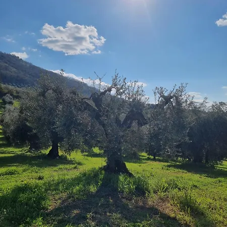Casale Dei Priori Oda ve Kahvaltı